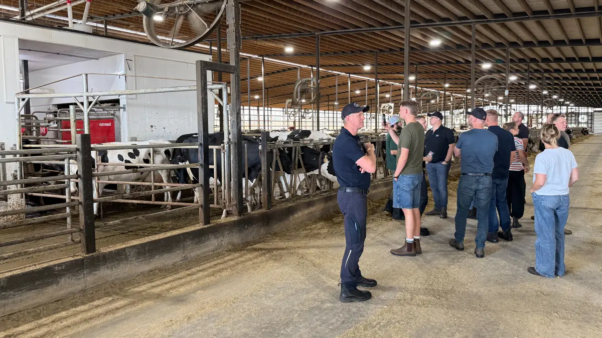 De danske besøgende studerer nysgerrigt staldindretningen hos Farnear Holsteins. 
