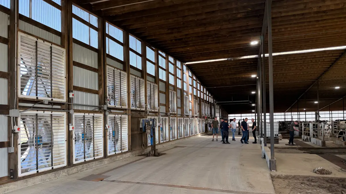 Ventilatorerne i gavlen trækker luften gennem den brede stald efter tunnelventilationsprincippet. Det betyder, at temperaturen kan holdes tålelig om sommeren, hvor termometeret kan kravle over de 40 grader Celsius i Iowa. 