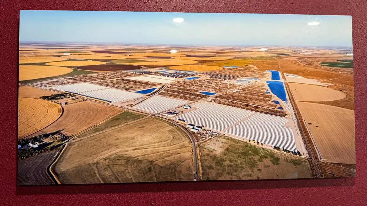 Kalvene er på denne station i Kansas, indtil de er seks måneder gamle. Omkostningerne er lave i staten, hvor klimaet er tørt og dermed skaber optimale forhold for en specialiseret forretning ved opdræt af kvier. 
