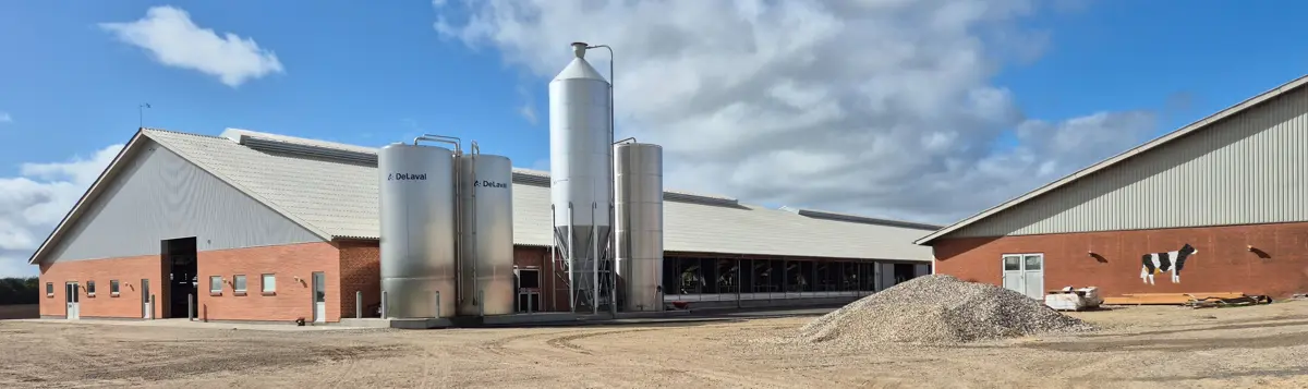 På Fladhøjgaard er der investeret stort i fremtidens mælkeproduktion. I dag tæller besætningen 810 køer.