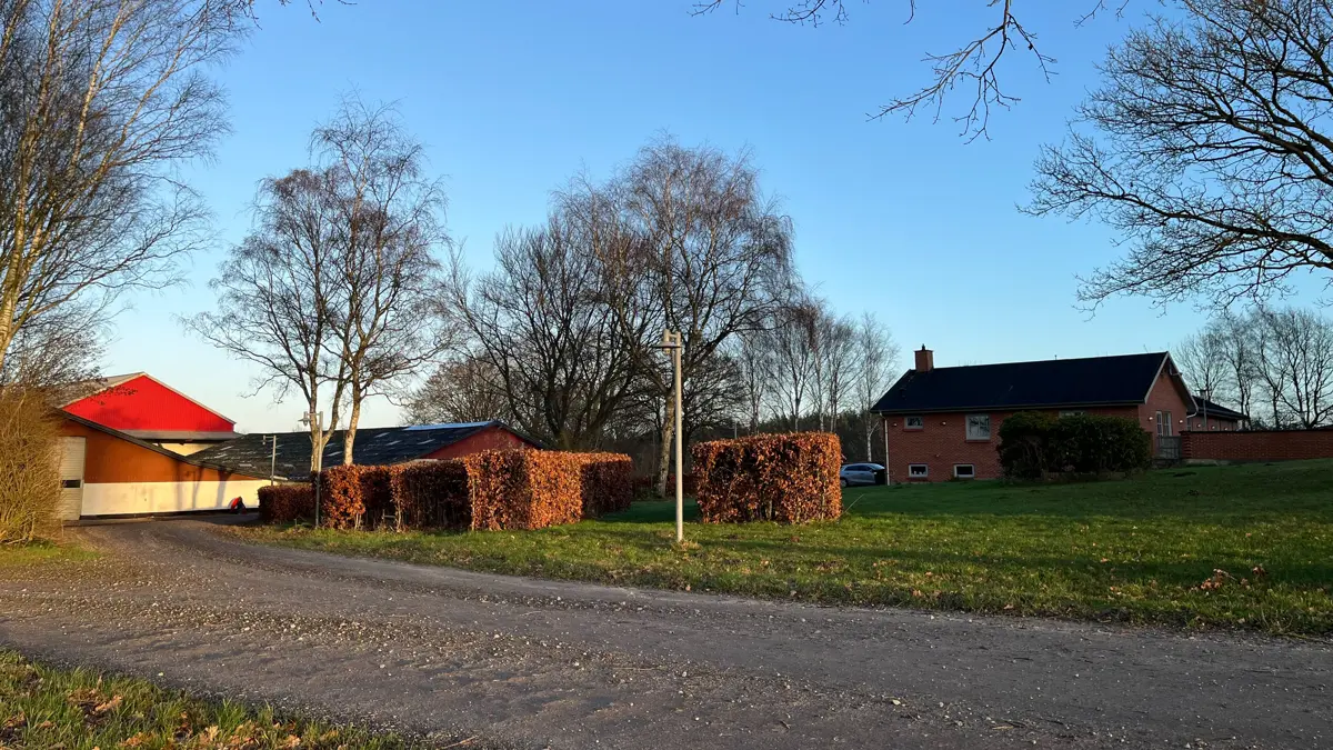 Knud Bay-Smidt bor på Birkely øst for Randers. Foto: Christian Ingemann