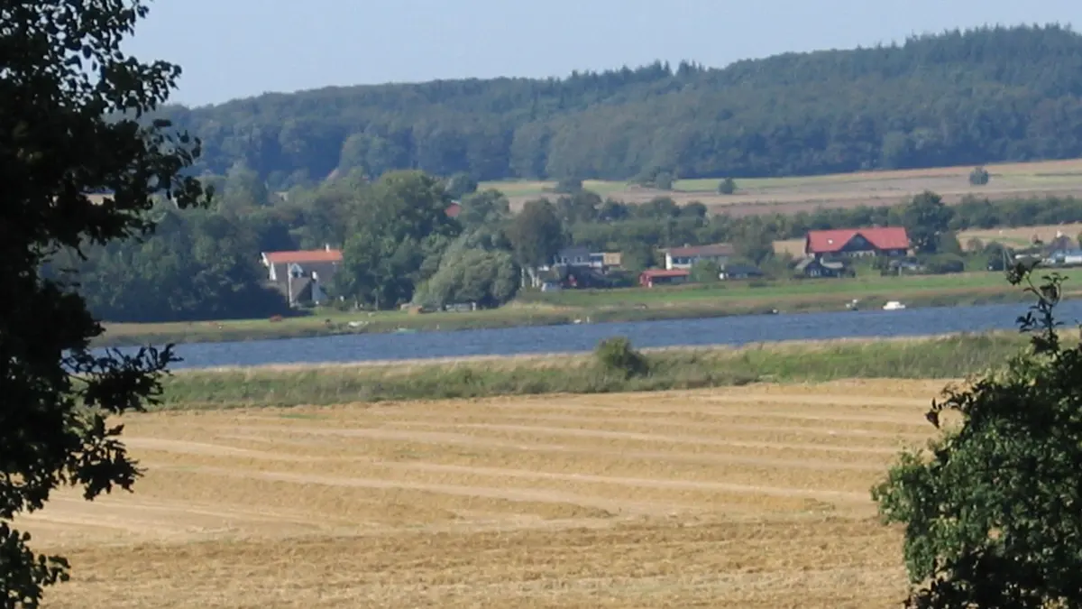 Kravene til Randers Indre Fjord har gennem årene ændret sig fra helt mørkeblåt til ingenting og først natten til den 30. juni i år, kom de igen med fuld skrue. - Som en tyv om natten, lyder det. Foto: Anne Wolfenberg 