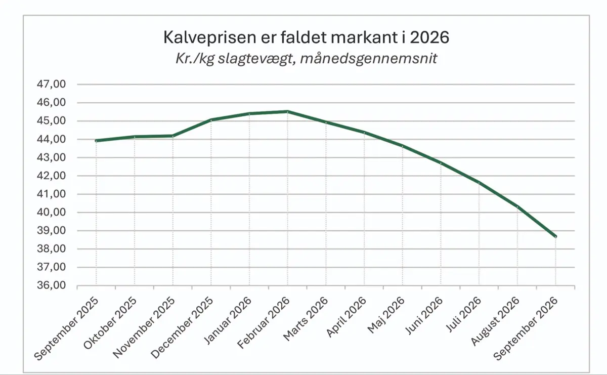 Udviklingen i Danish Crowns notering for Dansk Kalv 180 kg, formkode 5/O. Kilde: Danish Crown og Agrocura