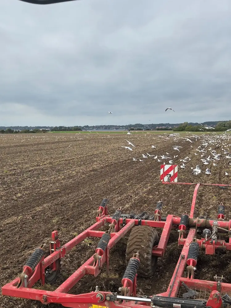 Markarbejdet er i gang uden, at landmændene eksakt kender kravene til dyrkning. Foto: Camilla Bønløkke