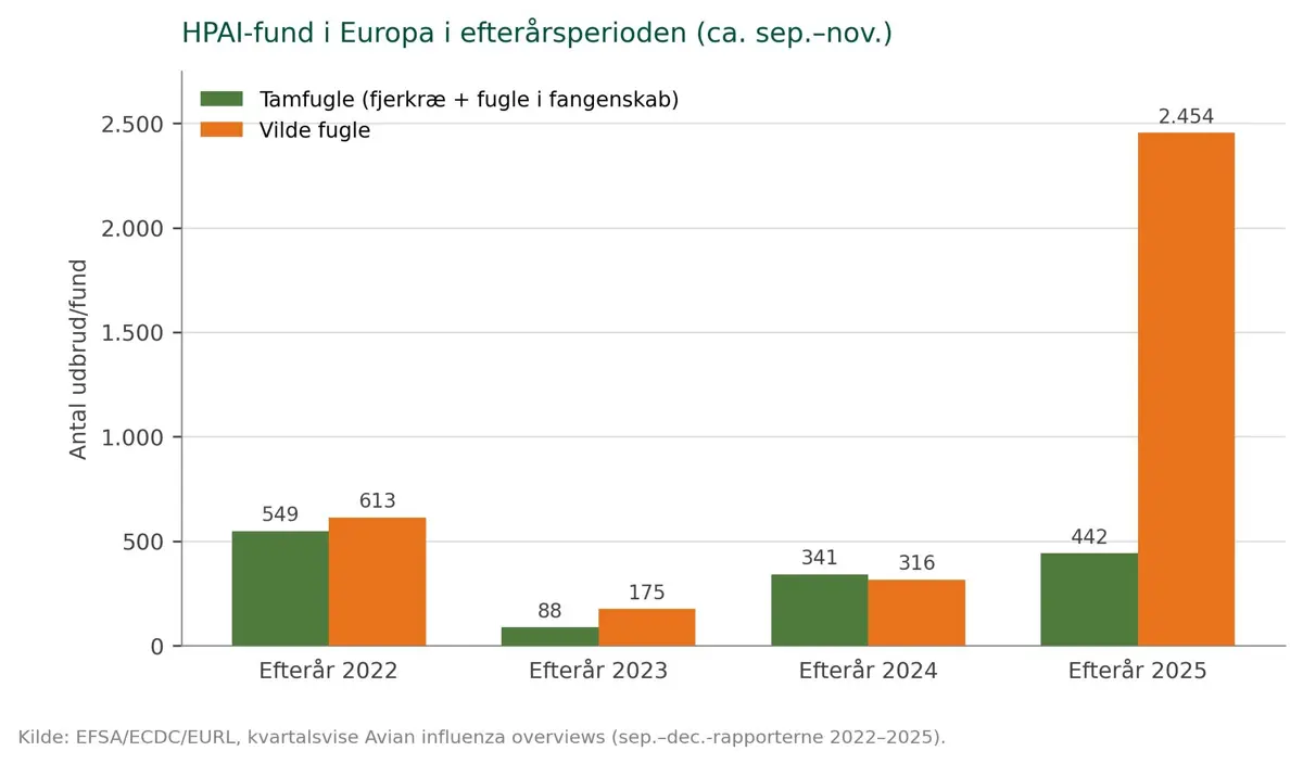 Figur 2. Antal fund af fugleinfluenza hos tamfugle og vilde fugle fra omkring september til november. Efteråret 2025 satte rekord for fugleinfluenza i vilde fugle. Kilde: EFSA.