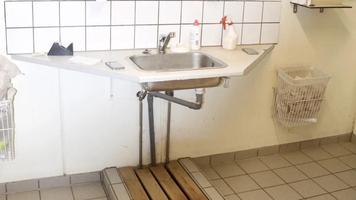 God håndhygiejne, rengøring og desinfektion er vigtige daglige rutiner, der skal begrænse risikoen for at bringe influenzasmitte ind i eller sprede den i besætningen, fremhæver L&F Sektor for Gris. Arkivfotos: Camilla Bønløkke