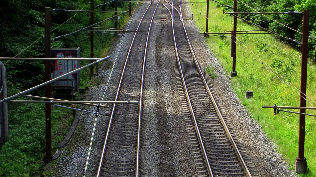Skovejere står med en helt ny type udfordringer, når jernbaner elsktrificeres, påpeger Dansk Skovforening. Foto: Colourbox