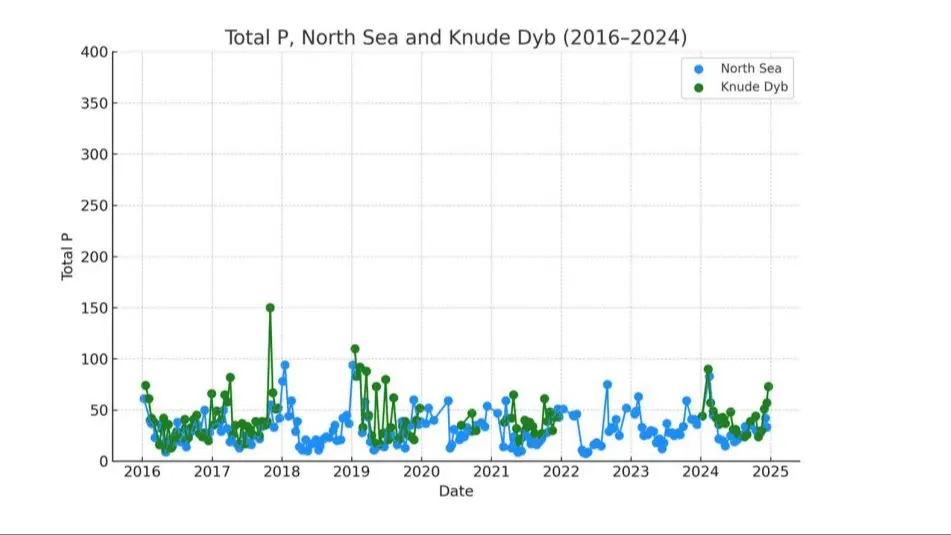 Koncentrationen af total fosfor (Total P) i Knude Dyb og Nordsøen i perioden 2016-2025. Koncentrationerne har ligget tæt på hinanden, og koncentrationen i Knude Dyb er generelt kun en smule højere end i Nordsøen, idet hovedparten af fosfor netop kommer fra Nordsøen. Kilde: »Udveksling af partikulært bundet fosfor imellem Nordsøen og den danske del af Vadehavet«
