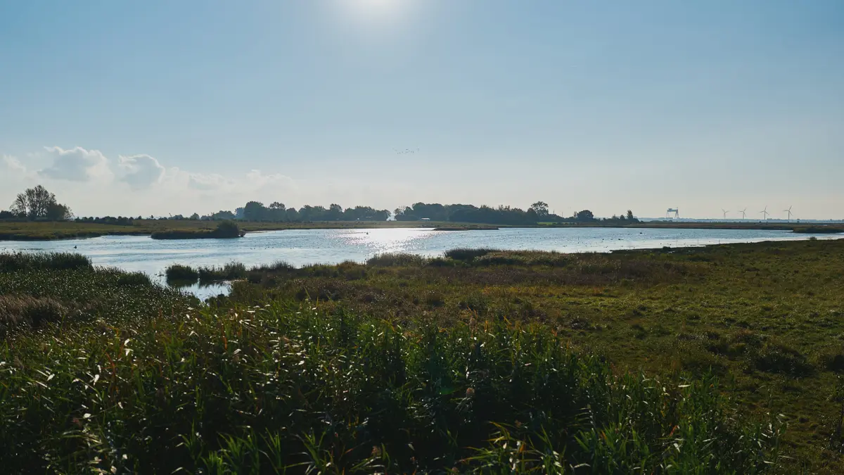 Foto: Odense Fjord Samarbejdet