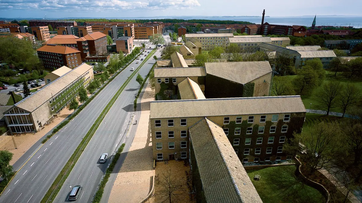 Forskere ved Aarhus Universitet har trippeltjekket sine beregninger. Foto: Aarhus Universitet