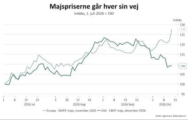 Udviklingen i europæisk og amerikansk majs siden 1. juli 2026. Begge kontrakter er indekseret til 100. Euronext-majs har holdt sig væsentligt stærkere end amerikansk CBOT-majs.