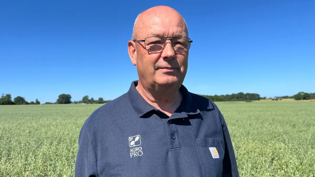 Vagn Lundsteen fra AgroPro har etableret to parceller med hvede på Stevns i et forsøg på at nå 20 ton pr. hektar. Foto: Christian Ingemann