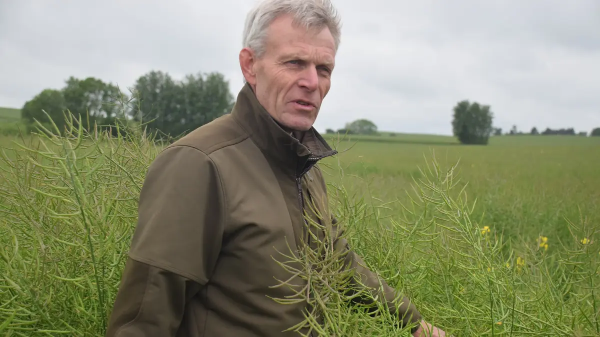 Ole Dalum, der er selvstændig rådgiver fra OD Agro, regner videre på løsninger, mens rettelser på rettelser gør det svært at afslutte markplanerne. Arkivfoto: Anne Wolfenberg 