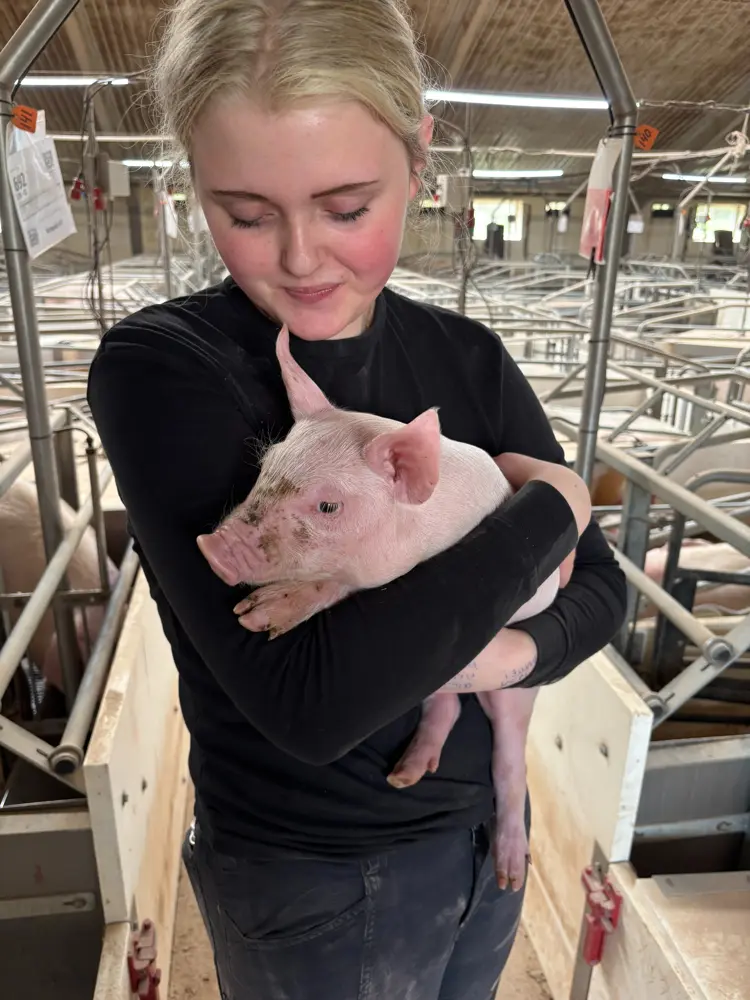 Mathilde Hassing Nielsen er elev hos Søvanggård Opformering ved Grindsted Landbrugsskole, hvor hun har ansvaret for deres farestald. Privatfoto