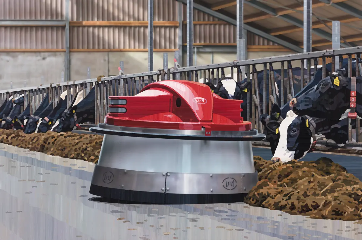 Løsdriftsstald (foderskubber), 2017. Køerne står og æder majsensilage, mens foderskubberen kører forbi. Alt er galvaniserede jernrør og eternit og beton. Men det er jo stadigvæk et smukt billede. Foto: Allan Otte