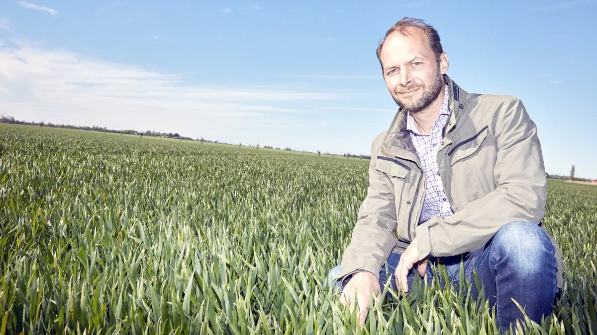 Peter Friderichsen på Gammelgaard Gods har bestemt ikke udelukket sukkerroer i sit sædskifte fremover. Arkivfoto