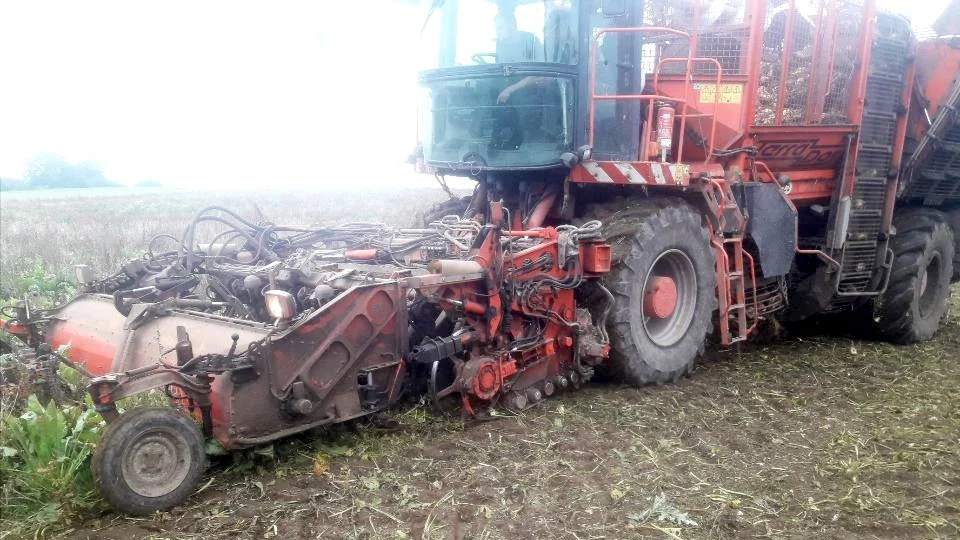 Optagningen af de økologiske roer går let. Nordic Sugar påbegynder afhentning af roerne mandag i uge 40. Fabrikken går i gang med produktionen 1. oktober.