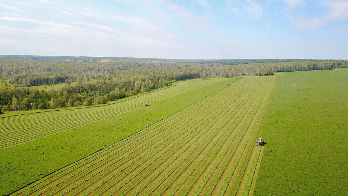 Denne bedrift blev startet i 2006 og ligger i Masljanino-distriktet omkring 180 km fra byen Novosibirsk. På de cirka 102.200 hektar landbrugsjord dyrkes salgsafgrøder og grovfoder samt græsfrø.
Gården er et anerkendte avlscenter for Simmental, Holstein og Hereford kvæg. Bestanden omfatter 22.650 kvæg, herunder cirka 12.900 mælkekøer.
