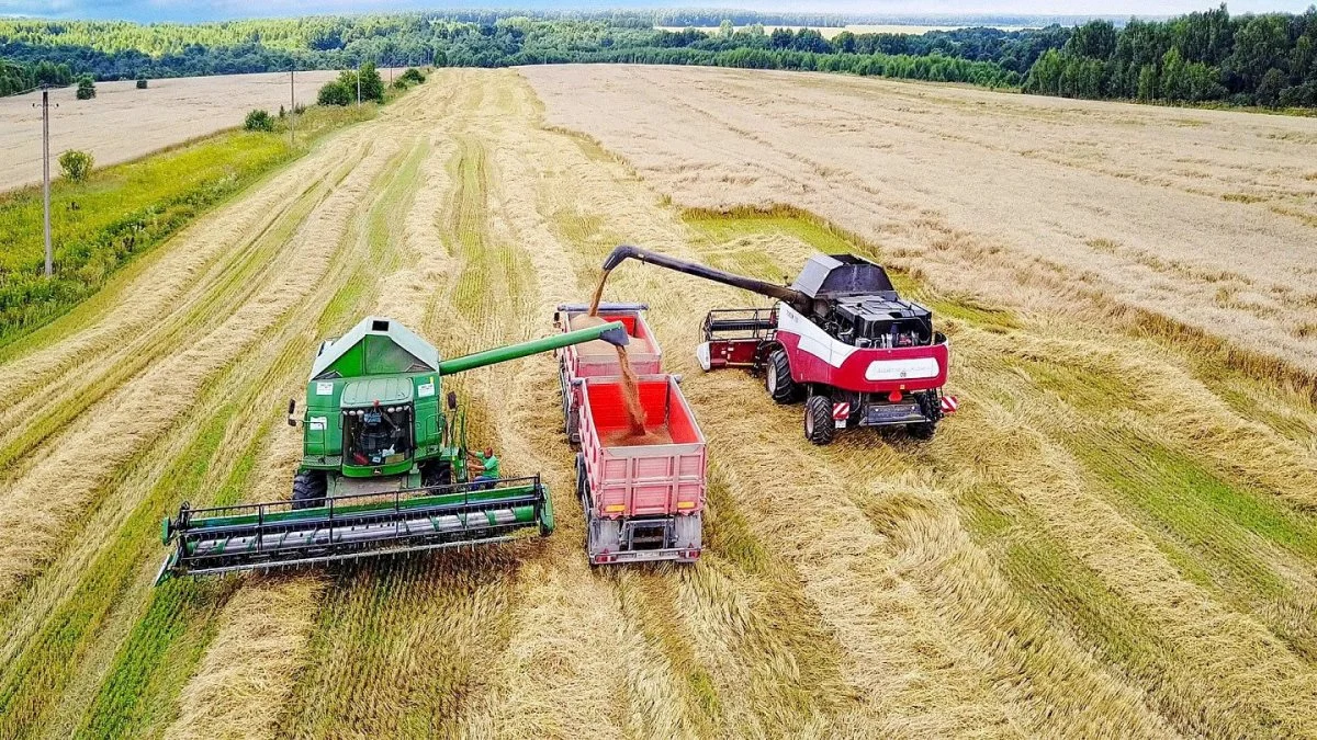 Kursk ligger tæt på grænsen til Ukraine og er hjemsted for en af Ekosem-Agrars første landbrug, der primært har specialiseret sig i frø, samt fremavl af korn og bælgplanter på et areal på knap 46.000 hektar.
Bygningsanlægget omfatter også en malkekvægstald med en nuværende bestand på cirka 2.200 kvæg, herunder 1.090 mælkekøer.
