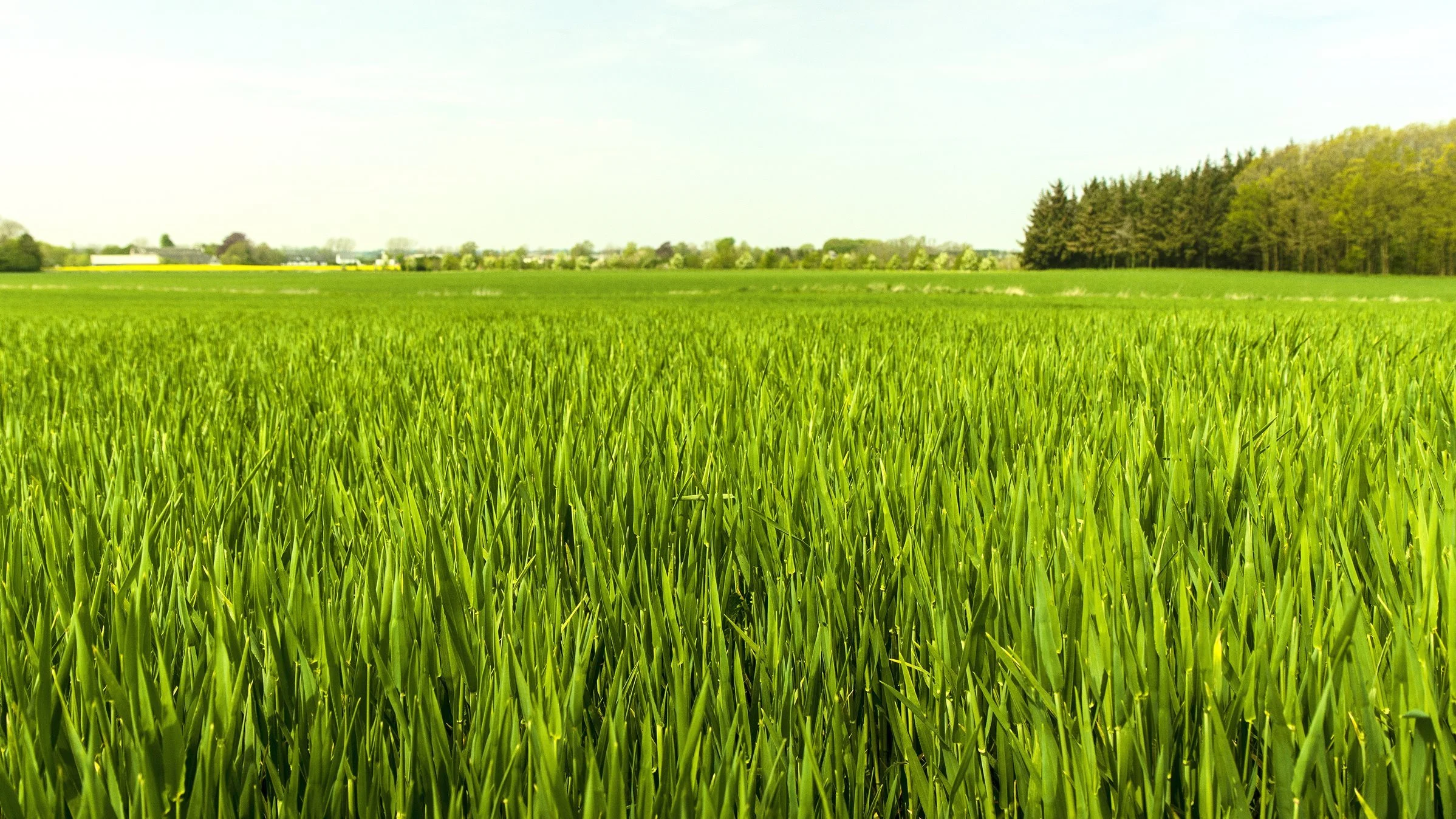 Syngenta har investeret to milliarder dollars til ny innovation over de næste fem år, der skal hjælpe landmænd verden over med at tackle klimaudfordringerne. Syngenta sigter mod at levere to teknologiske innovationer hvert år.  