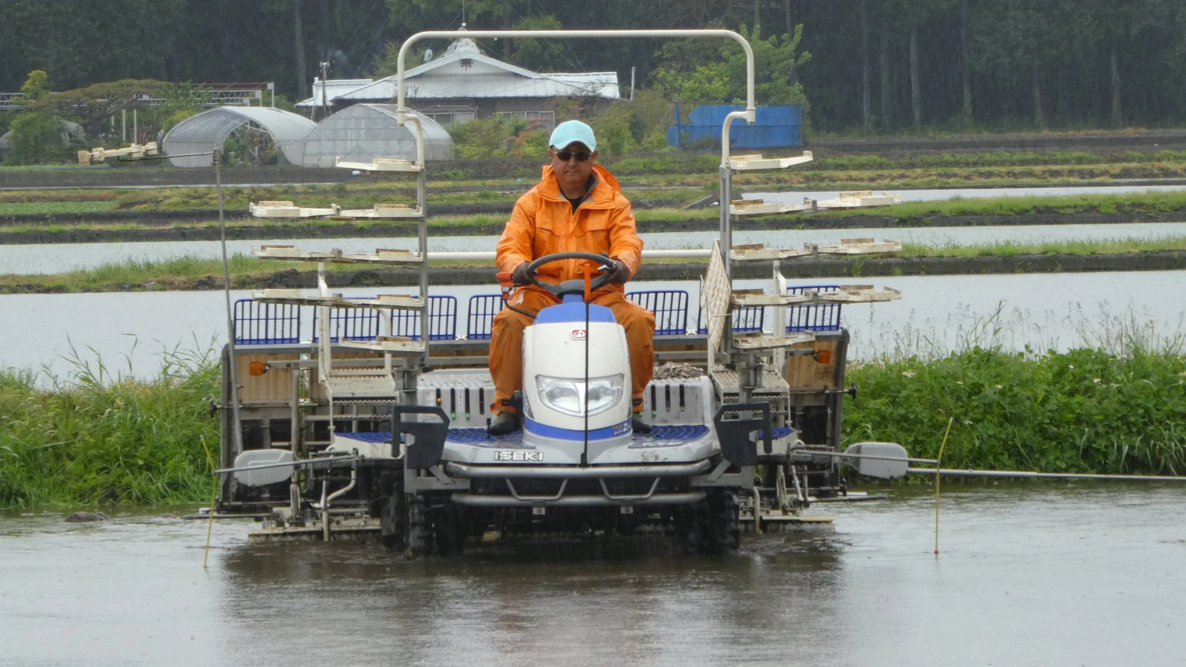 Risplantning foregår hurtigt og let – det ligner en fornøjelse at være japansk risavler. Her er det landmand Hiroyuki Arai, der driver 25 hektar i alt og har en bruttoindtægt på 1,25 million kroner årligt.

