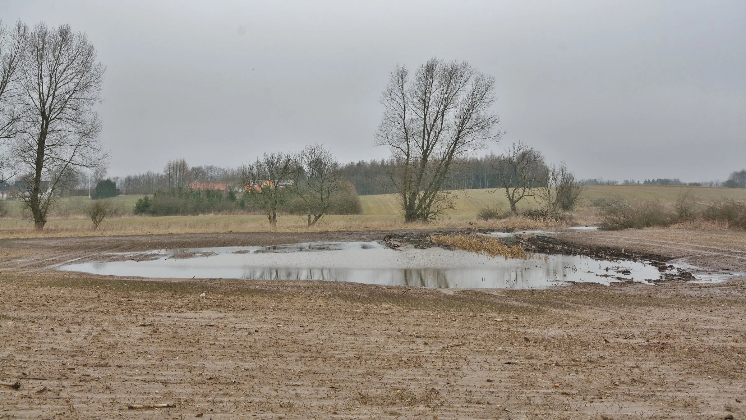 Vejret skaber en betydelig usikkerhed for fremtidens priser. Foto: Colourbox