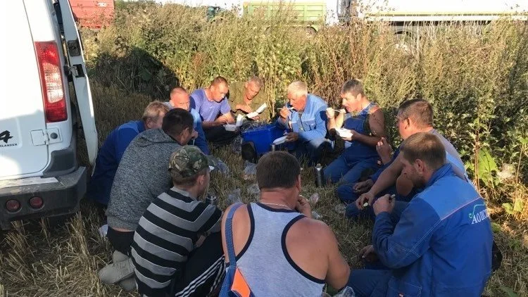 Middagspause for tærskerholdet i Kaliningrad-afdelingen Ermakova. Holdet består af seks mejetærsker og tre sneglevogne. Dertil kommer en mekaniker, som er klar i marken, hvis der skulle blive brug for en servicebil og hjælp undervejs. Der bringes varm mad ud hver dag.