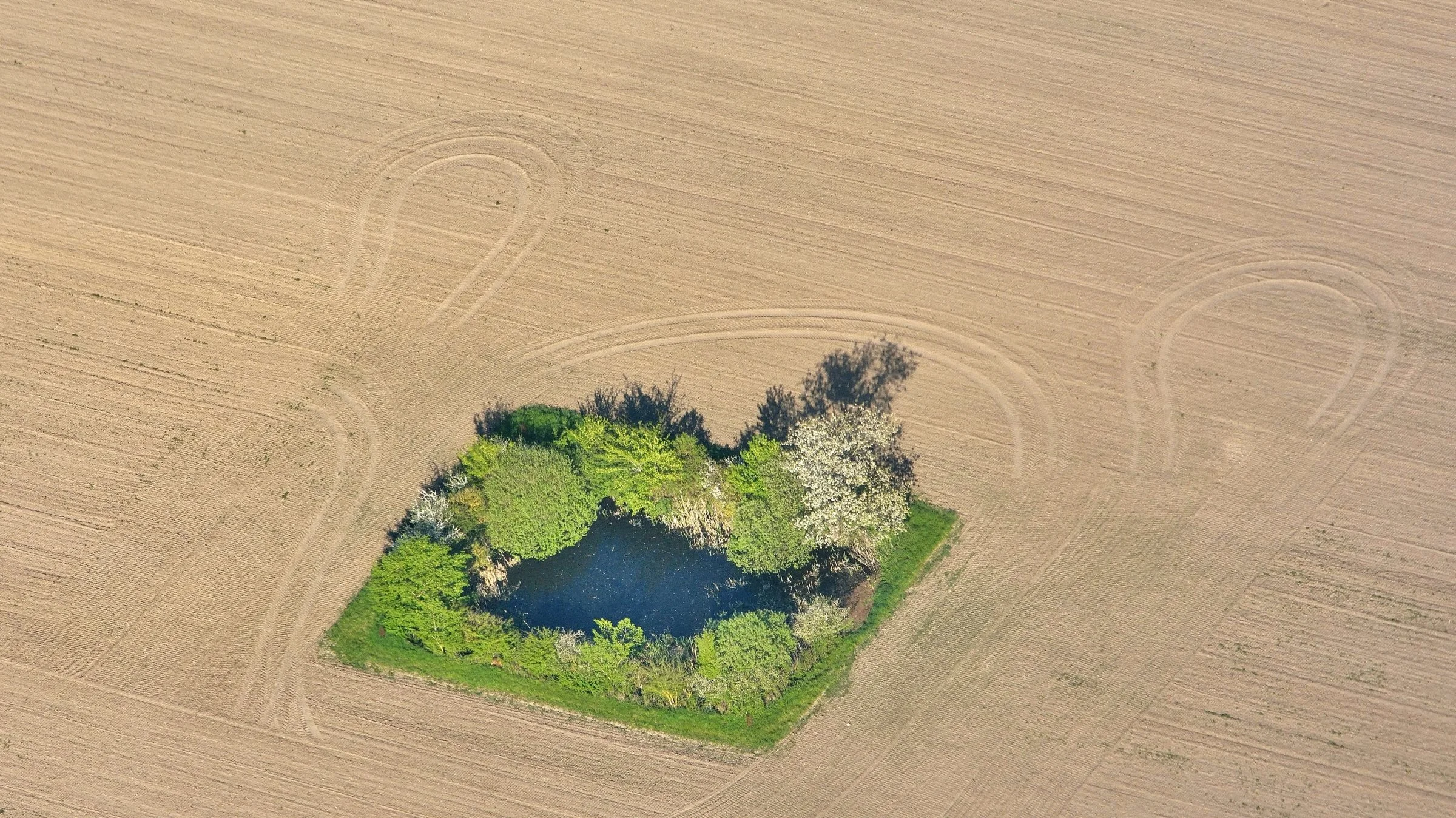 Det multifunktionelle projekt skal sammentænke landbrugsproduktion med andre interesser som fx biodiversitet, klima, miljø og friluftsliv. Foto: Colourbox.