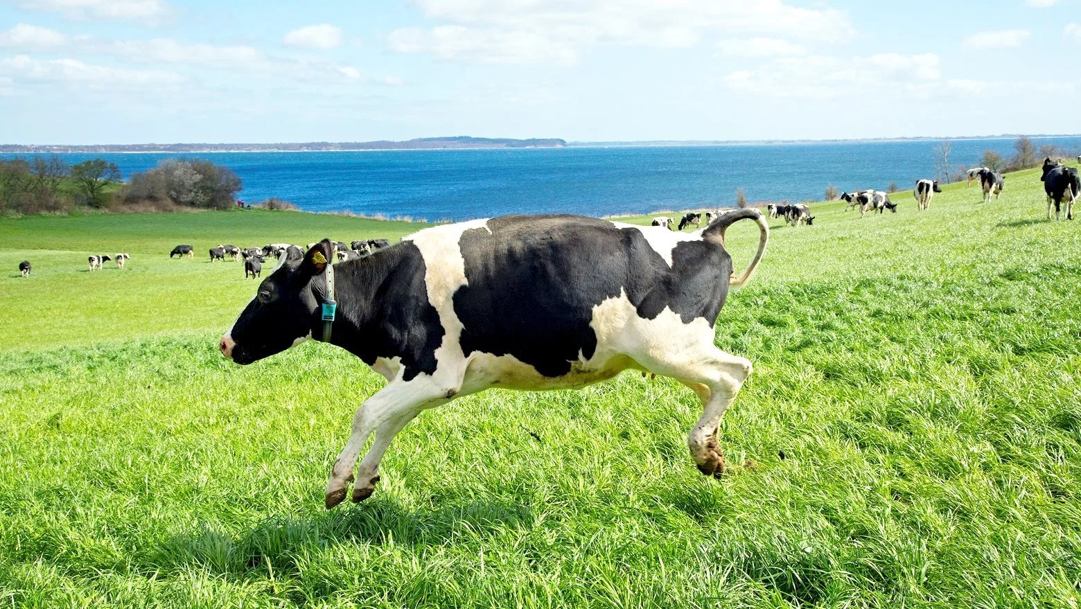 Foto: Økologisk Landsforening.