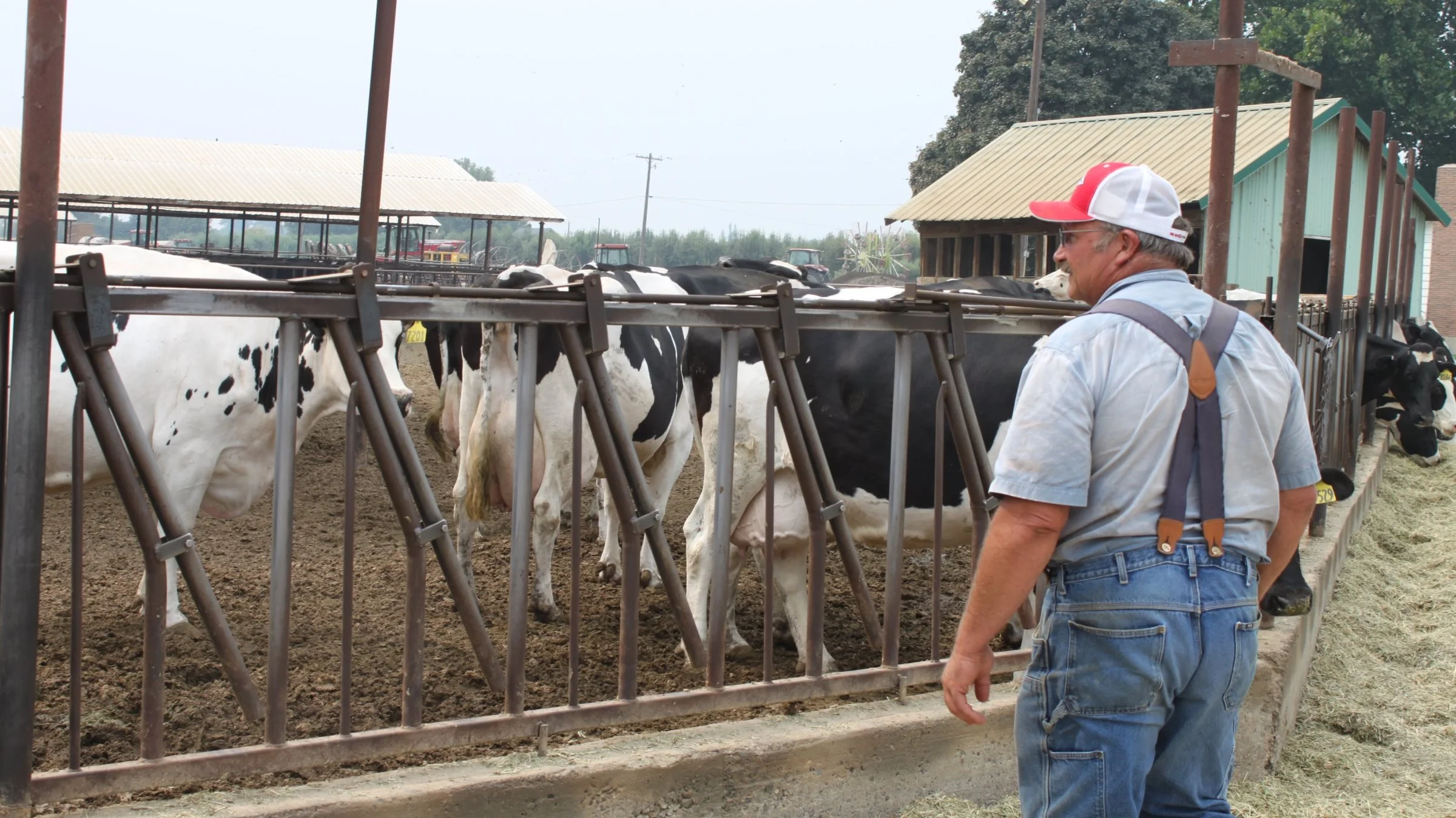 Poul Golob driver sammen med sine tre brødre en malkekvægfarm i det sydlige af staten Washington i USA.