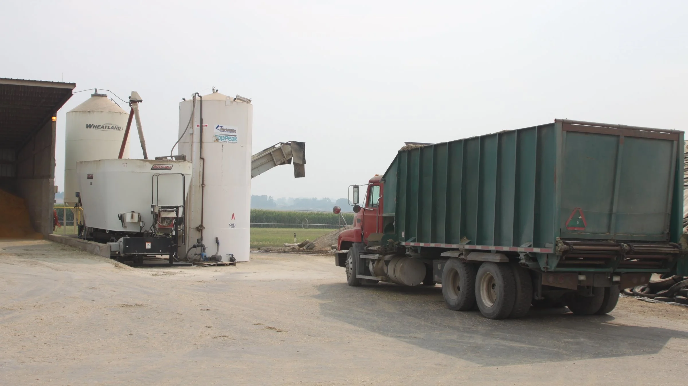 Fodret blandes hver dag i dette anlæg og består af majsensilage, lucernehø, majskolber, korn, bomuldsfrø og en mineralblanding.