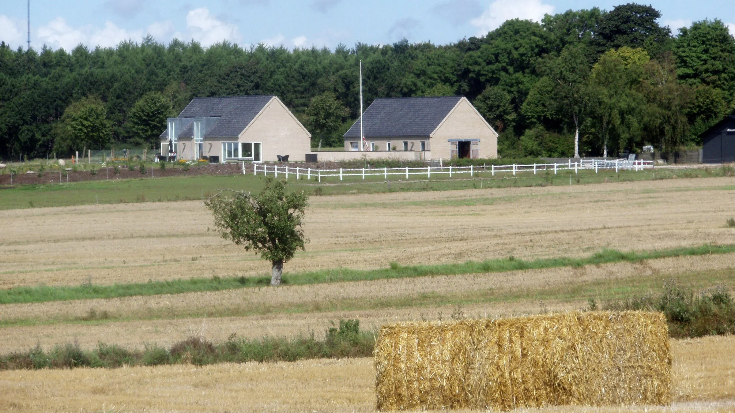 - Landbrugsbranchen går godt, og derfor gør både banker og kreditforeninger alt, hvad de kan for at få handler igennem, siger Henrik Nielsen fra Agri Nord.