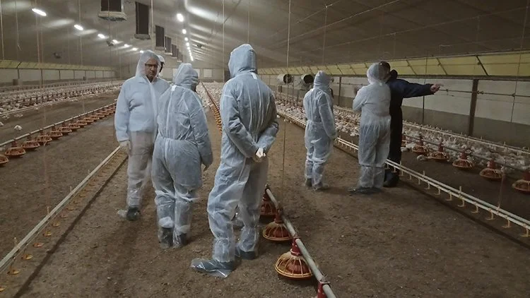 Bjarne Vest (yderst tv) er i gang med at værdisætte biosecurity på svine- og fjerkræfarme i Polen. Fotos: VestIn