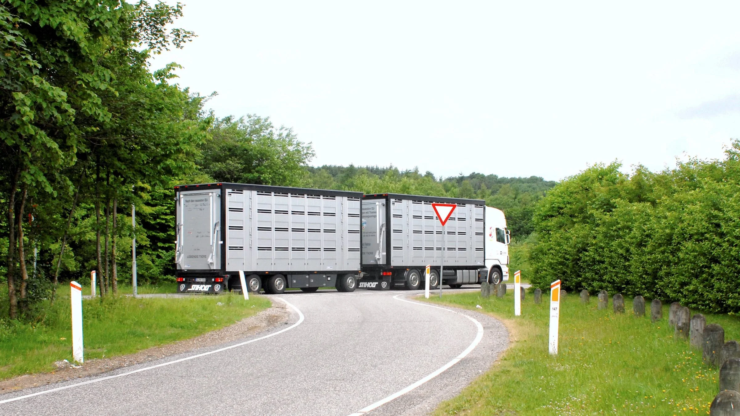 Corona-restriktionerne betyder nu, at danske smågrisetransporter skal holde i timelange køer ved grænseovergang midt i en ASF-udbrudszone. 