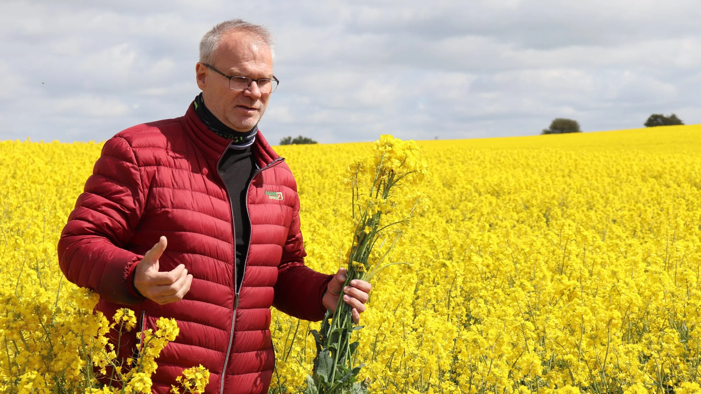 - Frem til rapsen er i brysthøjde kan det betale sig at foretage svampesprøjtninger uden for voldsom køreskade, fastslår Hans Jørgen Bak, Agriadvice. 
