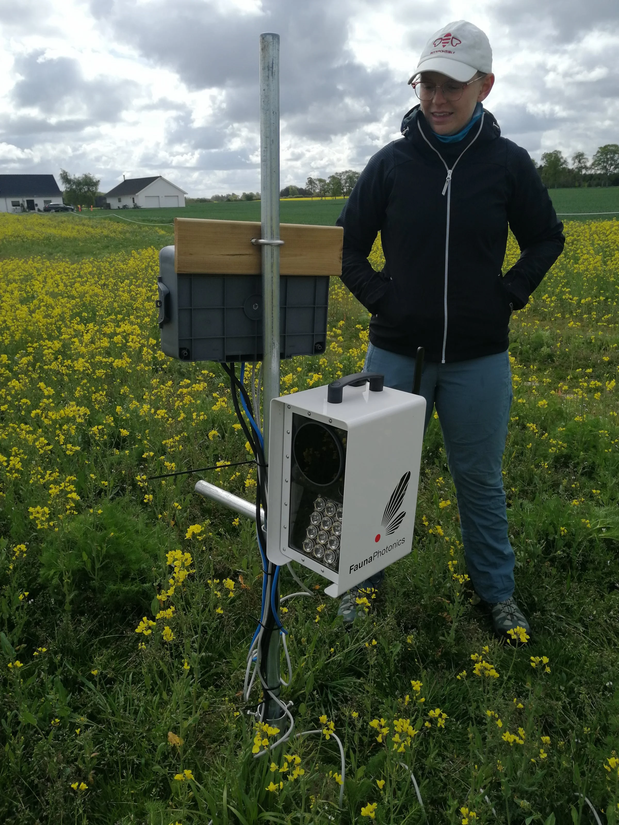 Der måles på vingeslagsfrekvens, kroppens størrelse i forhold til vingerne, og insekternes farve, forklarer Salena Helmreich.