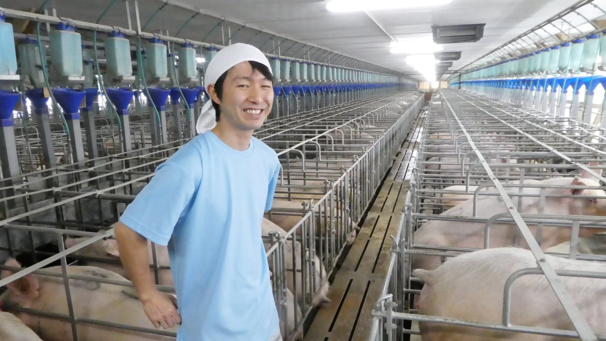 De moderne japanske landmænd er veluddannede, dygtige og viser gerne deres bedrifter frem. Dansk landbrug er meget beundret i Japan, blandt andet fordi Danmark tidligt hjalp det japanske landbrug efter 2. verdenskrig. I dag er der mange topmoderne bedrifter. Fotos: Jørgen P. Jensen

