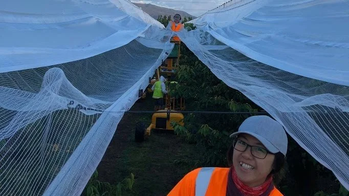 - Når det trækker op til blæst, får vi nogle gange travlt med at få sat nettene sammen, så blæsten ikke tager dem, fortæller Mai Fruervang.