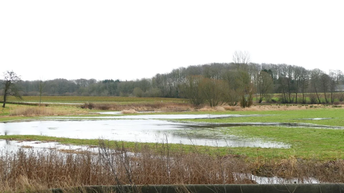 Det er vandplanerne, der er omdrejningspunktet i den retssag, som Bæredygtigt Landbrug har anlagt mod staten. En sag som Landbrug & Fødevarer nu går ind i som biintervenient.
