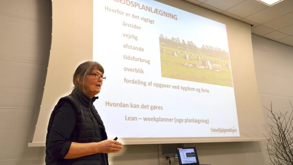 - Det er en udfordring at gå fra at være en enmandsbedrift til at have fire-fem ansatte, som flere af jer nu har, understregede faglig koordinator Pernille Elkjær, SvineRådgivningen, da SvineRådgivningen og Seges i tirsdags holdt temadag om udendørs svineproduktion. Fotos: Camilla Bønløkke