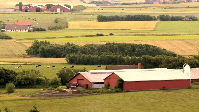 Vi oplever, at jord er eftertragtet. Den lave rente gør, at investering i jord er en god og forholdsvis sikker forretning med det nuværende prisniveau, skriver ejendomsmægleren Mogens Nielsen, LandboGruppen Sønderjysk. Arkivfoto