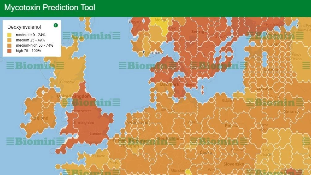 Danmark ligger i den mørkeste gruppe (mørk orange) for den beregnede risiko for mykotoksiner i den kommende kornhøst. Kilde: Biomin