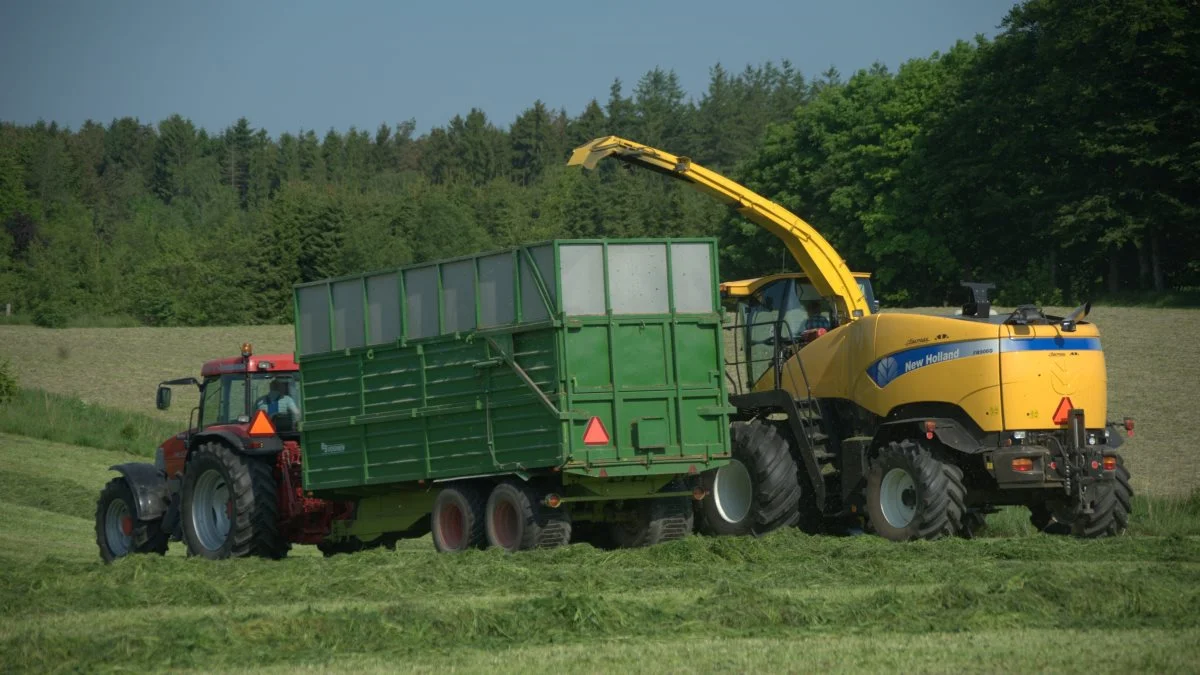 Nu får økologerne deres egen grovfoderdag, hvor der bliver fuldt fokus på de særlige problemstillinger, der gælder for økologisk foderproduktion.