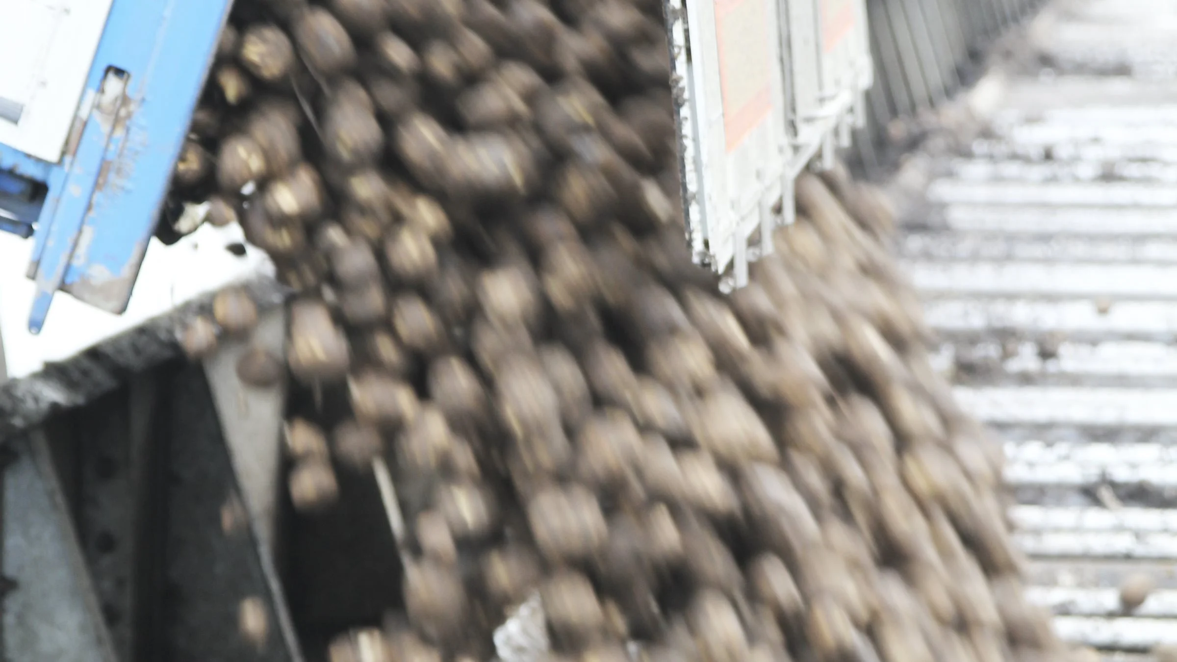 Håbet er en fynsk kartoffelmelsfabrik med kartofler fra 7.000 hektar. Inden årsskiftet giver gruppen bag en melding om, hvorvidt fabrikken kan få nok opbakning til at blive en realitet. Foto: Henriette Lemvig. 


