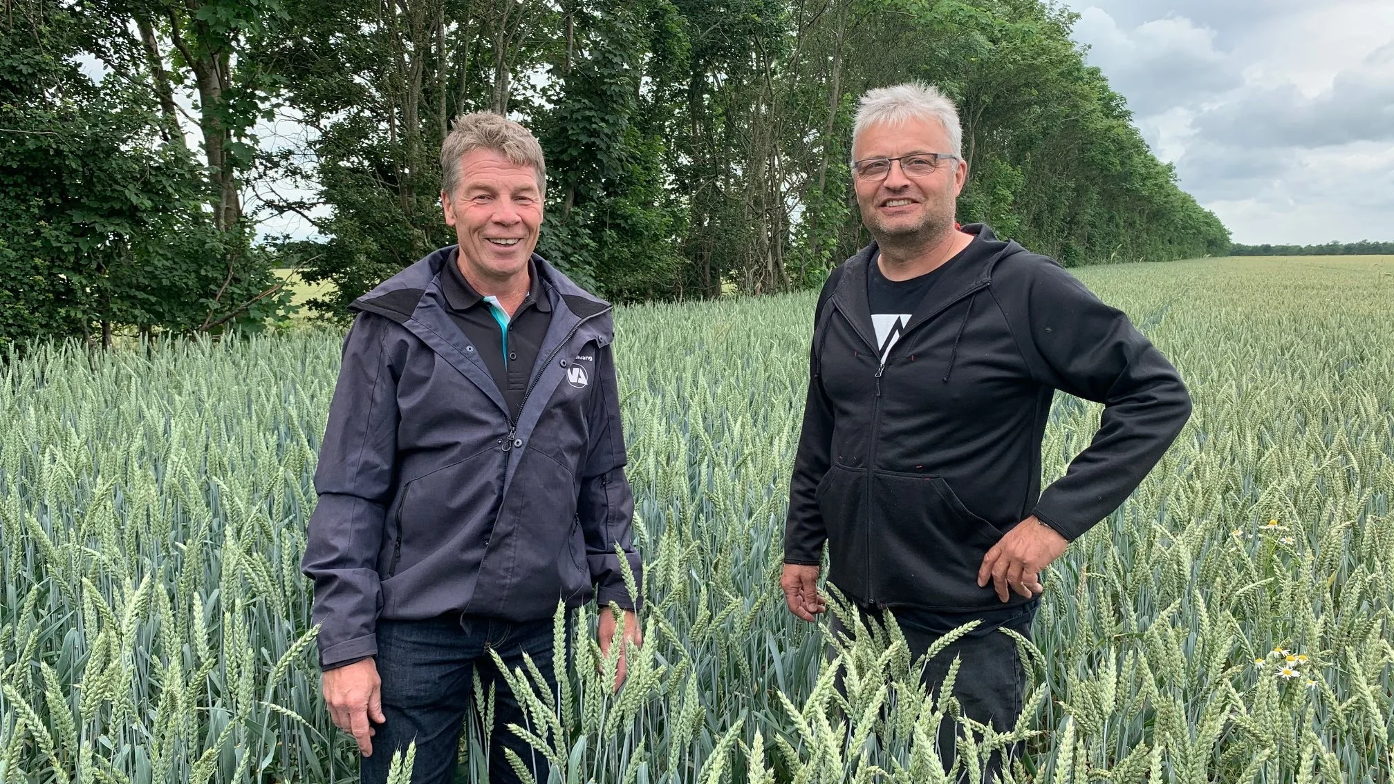 Jens Peter Skovsgaard (t.h) i hvedemarken sammen med produktkonsulent Troels Melvang, Vestjyllands Andel. Fotos: Nordic Seed