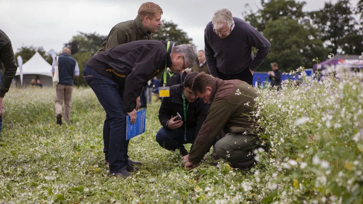 Groundswell Farmshow er et årligt tilbagevendende dyrskue og konference med fokus på reduceret jordbehandling. Her kan man se udstyr og maskiner og høre faglige oplæg.