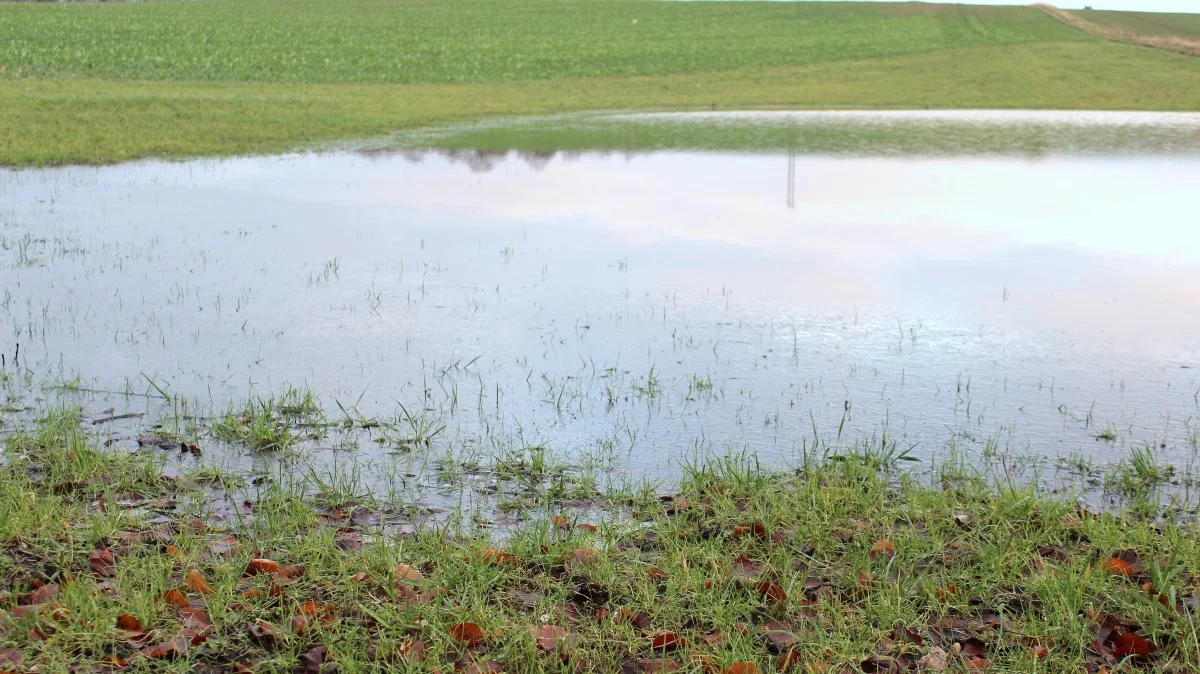 - Vil man en god høst med høje udbytter, er en god dræning alfa og omega. Det er vigtigt, at man har en god afvanding, har lagt en strategi for sin dræning og følger den, lyder det fra agronom og Ph.d. Kasper Jakob Jensen.