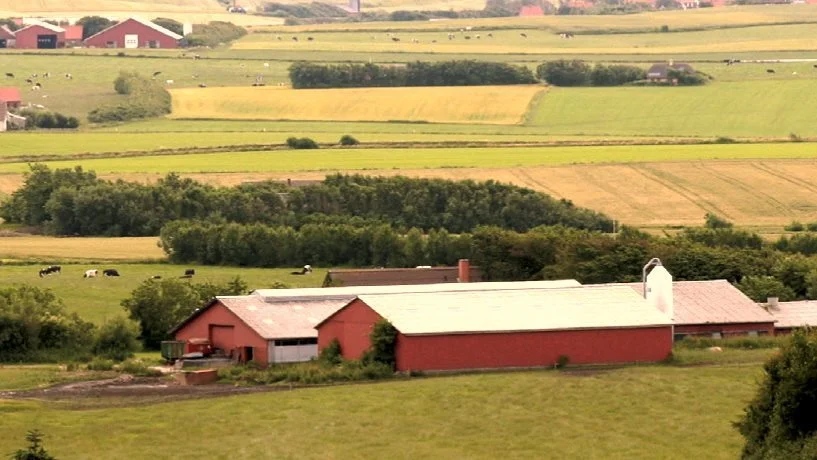 Når det nye vurderingssystem indføres i 2022, bliver det muligt at købe en samlet vurdering af landbrugsejendomme hos Skattestyrelsen. Arkivfoto