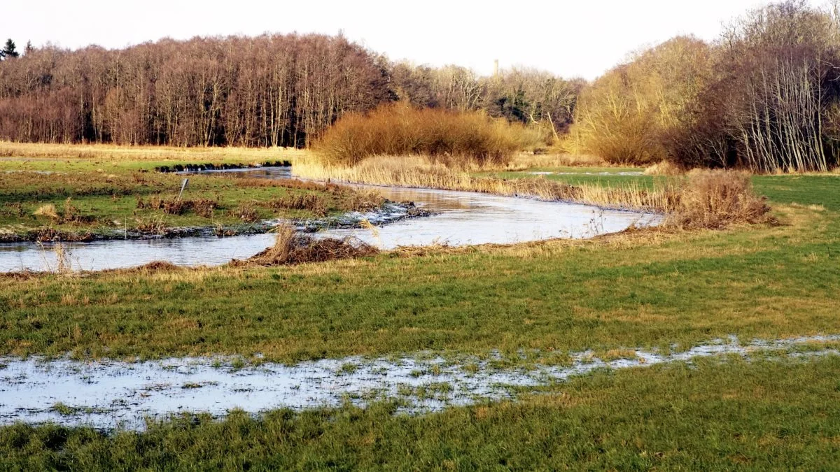 En mere målrettet regulering af landbruget blev anbefalet af eksperterne i Natur- og Landbrugskommissionen tilbage i 2013, og blev siden aftalt som en del af Fødevare- og landbrugspakken. Med målrettet regulering bliver den enkelte landmand reguleret på bedriftsniveau i stedet for generelle krav. 