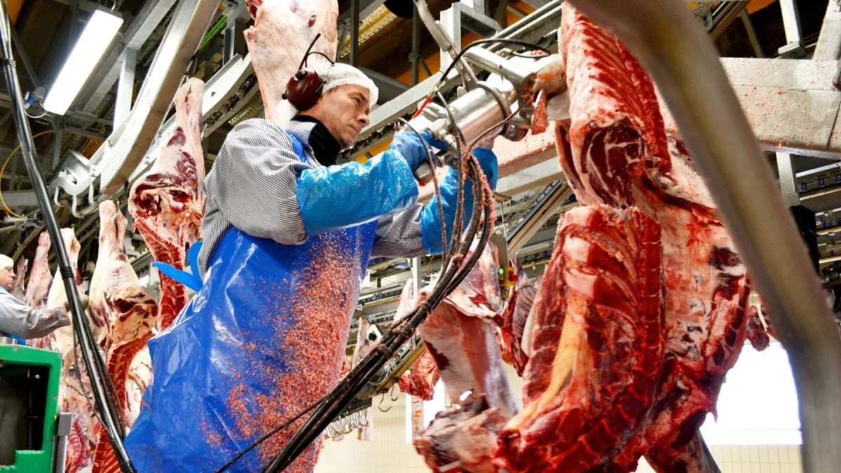 Særligt Danish Crown-slagteriets udenlandske medarbejdere skal kunne redegøre for deres weekender for at mindske risiko for smitte med coronavirus. Foto: Anne Louise Mikkelsen